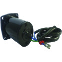 Trim motor Johnson Evinrude 30CV_2