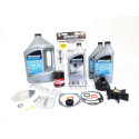 Vergaserreparatursatz Mercury 75 CV EFI 2.1L SeaPro 300h-1