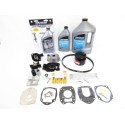 Vergaserreparatursatz Mercury 100 CV EFI 1.7L 4-Takt Injektion 300h_1