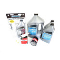 Vergaserreparatursatz Mercury 80 CV EFI 2.1L 4-Takt Injektion 100h-2