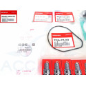 06211-ZY2-507 Kit Entretien Honda BF175 à BF225-5