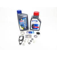 Vergaserreparatursatz Suzuki DF4 100h-9