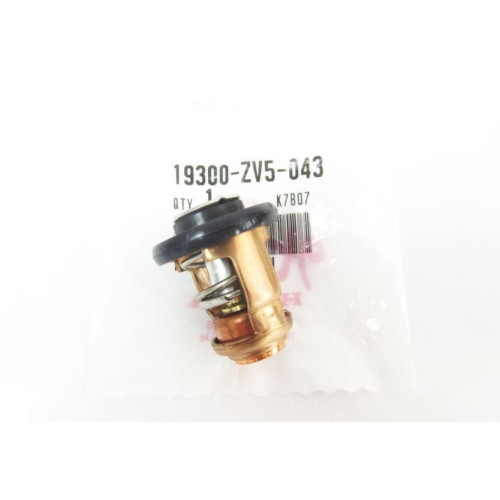 Thermostat Honda BF45