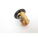 Thermostat d'Origine Honda BF45