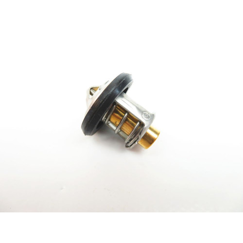 Thermostat Mercury 40CV EFI