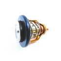 Thermostat Yamaha F150-5