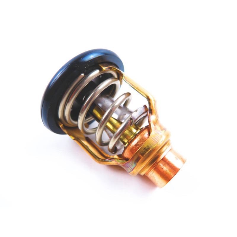 Thermostat Yamaha F150-6