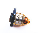 Thermostat Yamaha F115-5