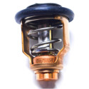 Thermostat Suzuki DF90