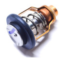 Thermostat Suzuki DF225