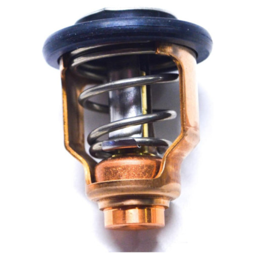 Thermostat Suzuki DF300