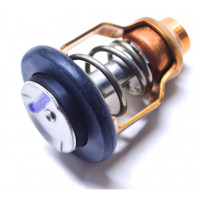 Thermostat Suzuki DF300