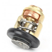 Thermostat Honda BF45 72°C