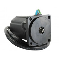 Moteur de Trim Honda BF40 36120-ZW4-H12