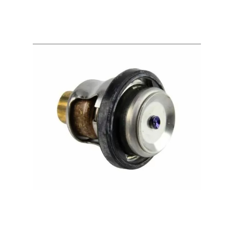 Thermostat Suzuki 40CV 4-Takt